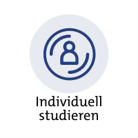 Viadrina: Individuell Studieren