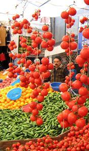 Viadrina Erasmus 2008 - Tomaten in Istanbul, Türkei (Dorothea Friese) ©Dorothea Friese