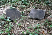 4-Slubice, Jüdischer Friedhof4 ©Arndt Beck