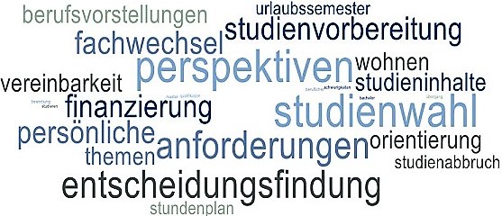 Wordcloud_Studienberatung_Website ©ZSB