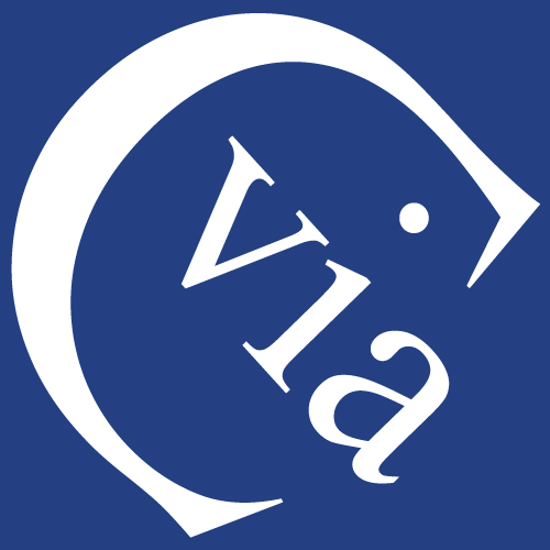 viaCampus Logo