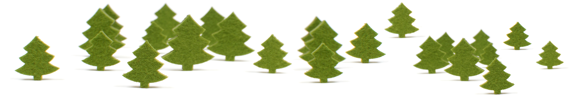 bäume panorama BM version 1920px breit