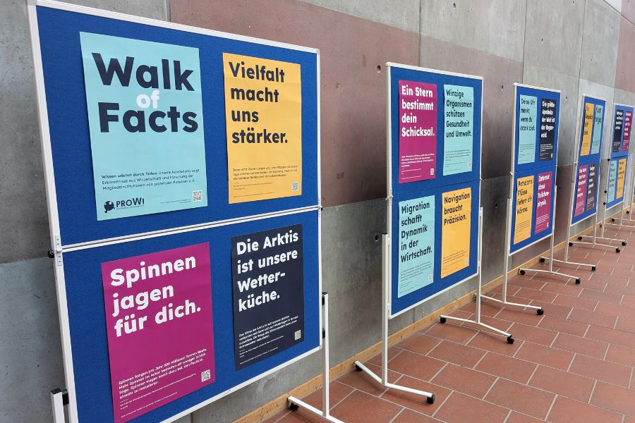 walkoffacts_900x600