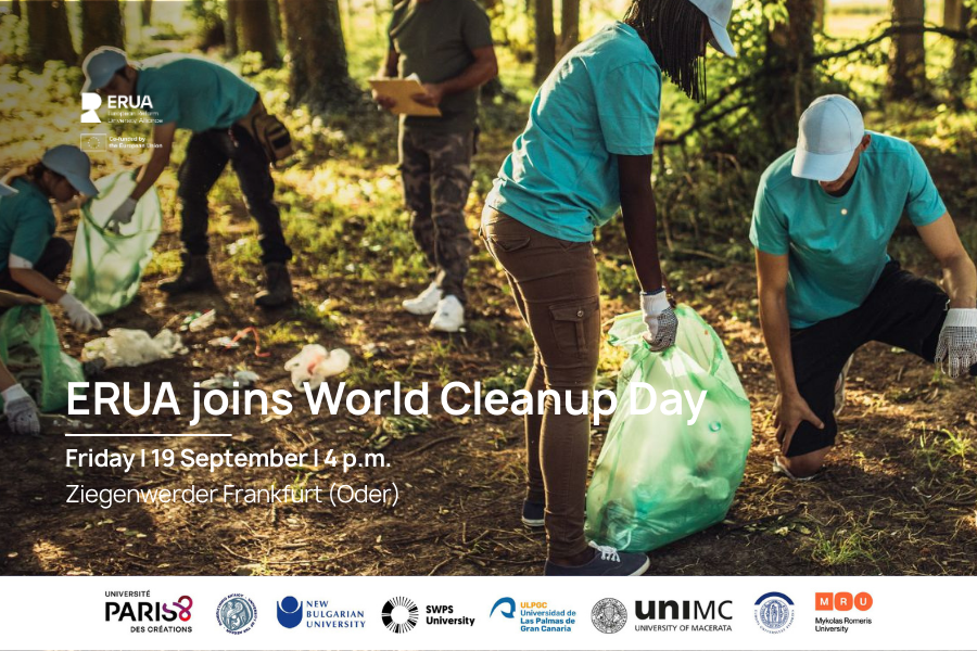 cleanup web 900x600