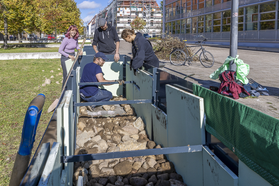 hochbeete-befuellung-20241009_EUV2711