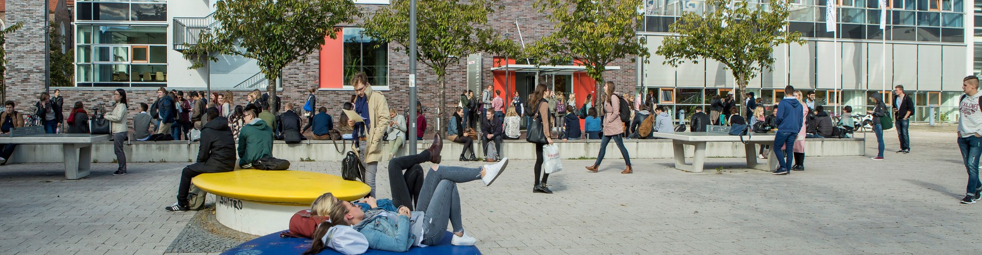 Numerous students meet on the Viadrina campus square