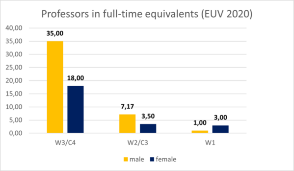 Professors in full-time equivalents (EUV 2020) ©EUV - Gleichstellungsbüro