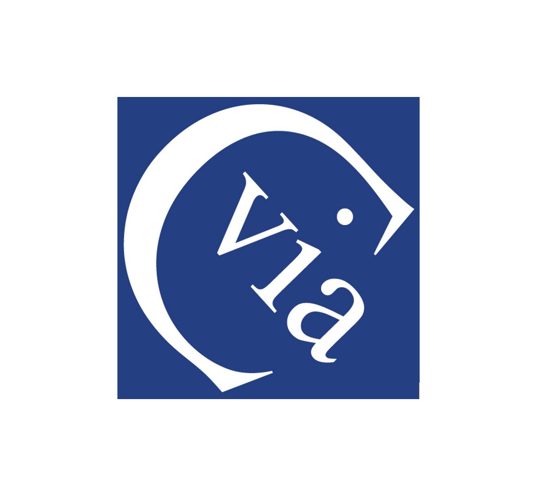 viaCampus Logo