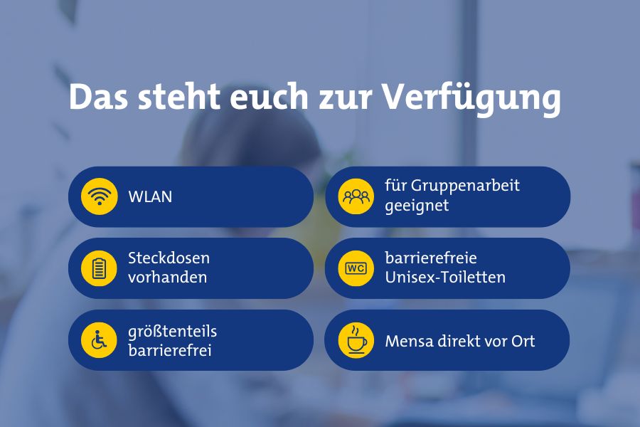 Heide Fest / Viadrina