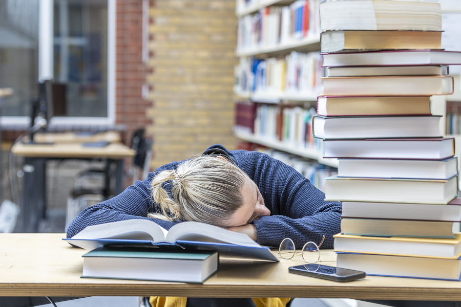 Frau schläft auf den Büchern ein, Bücher, Bibliothek